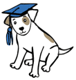 Puppy kindergarten graduate